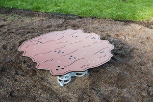Flotten - bild 8