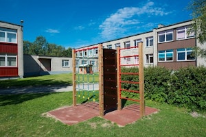 Vivo - bild 11