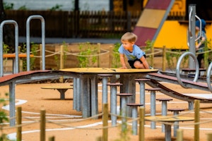 Kompass (LEK0101723) - bild 11