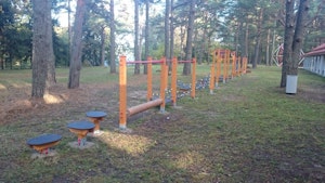 Darla - bild 10