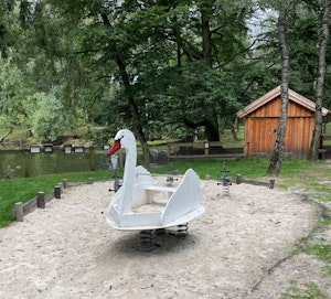 Svan - bild 10