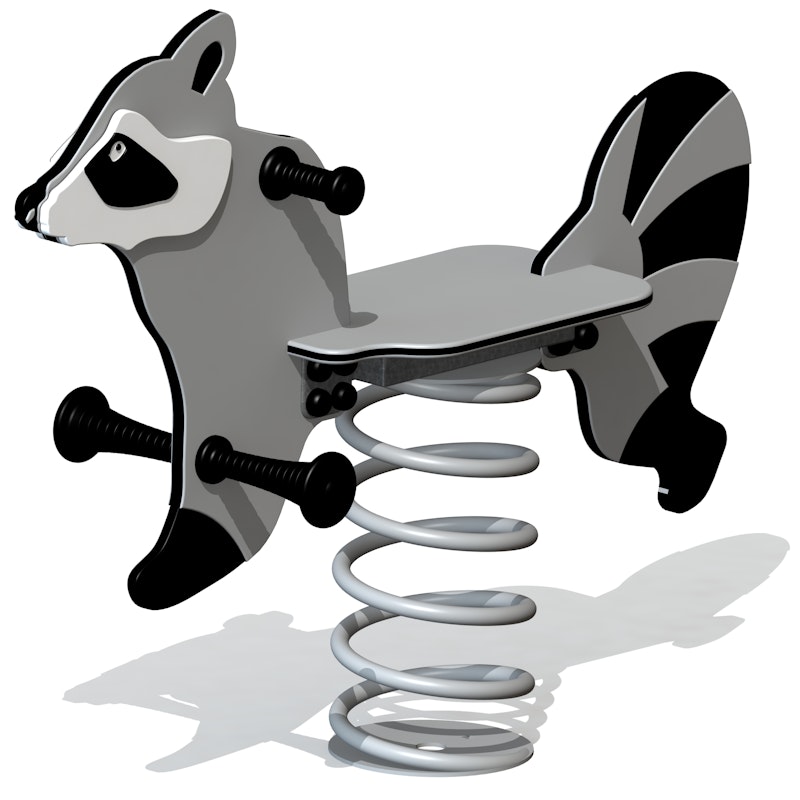 Tvättbjörn - bild 9