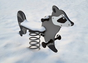 Tvättbjörn - bild 7