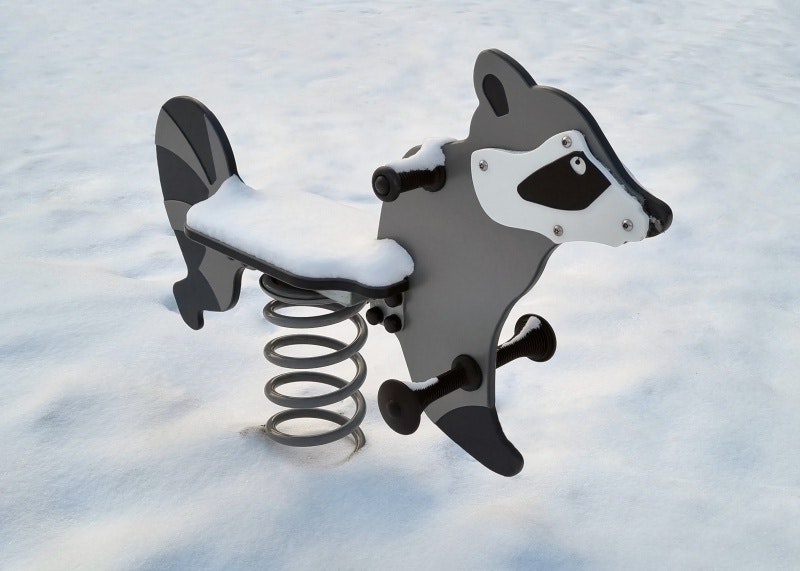 Tvättbjörn - bild 7