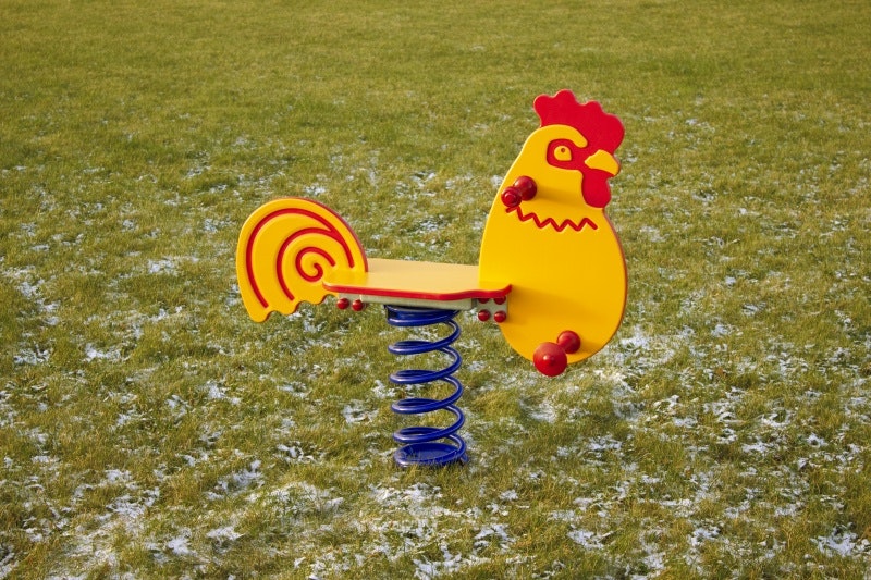 Rooster - bild 6