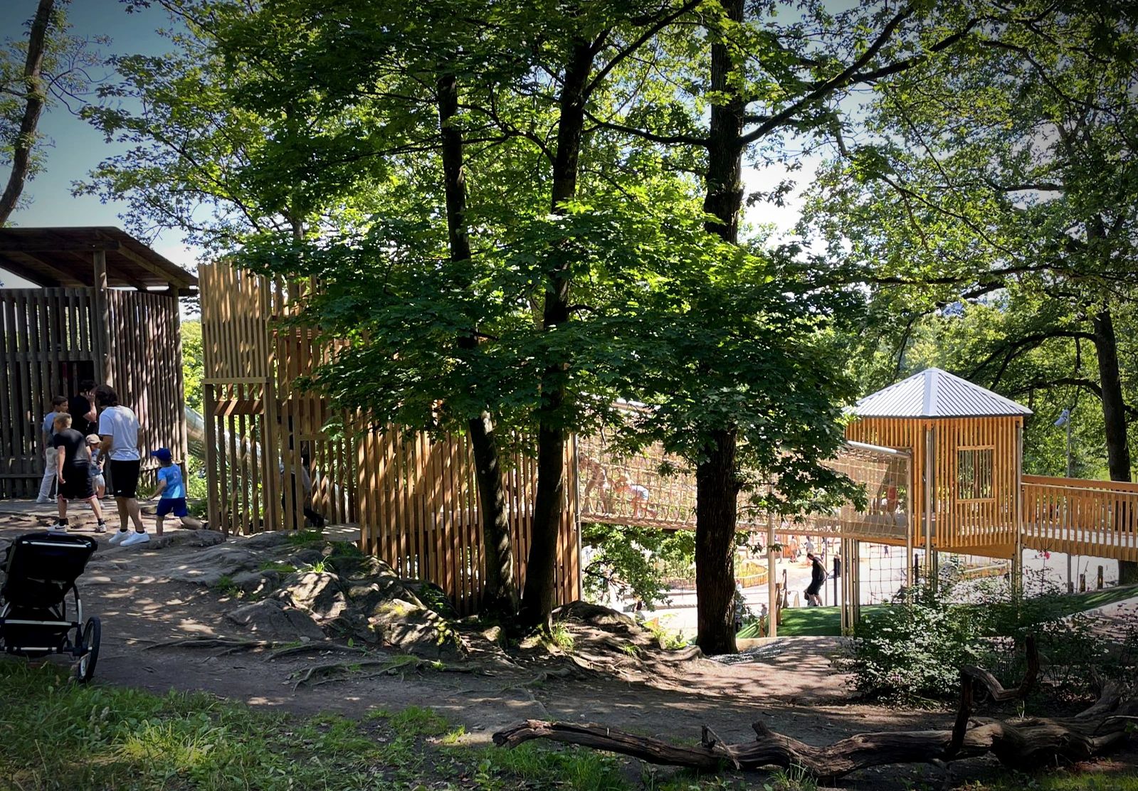 Utkikstorn i robinia, norrländsk furu och limträ i Slottsskogen