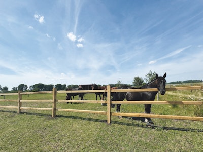 Bygge av träkonstruktion