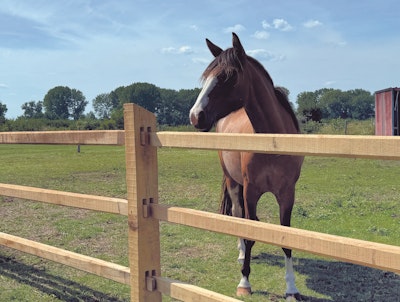 Träkonstruktion detalj