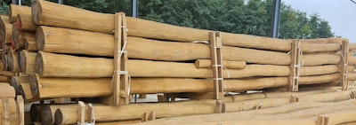 Panorama träkonstruktion