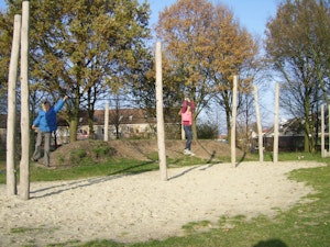Repbana (Lek1401001) - bild 5