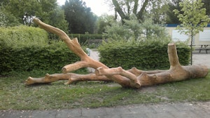 Naturligt Lekträd (Lek1401009) - bild 5