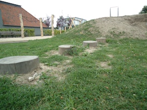 Trädstamskiva - bild 3