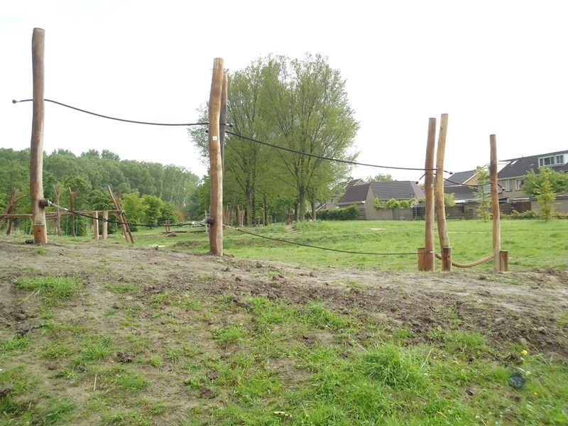 Robinia aprep, 4 meter långt - bild 3