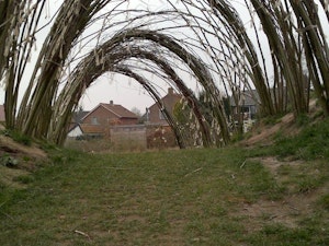 Wilgentunnel - bild 3