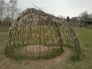 Wilgentunnel - bild 4