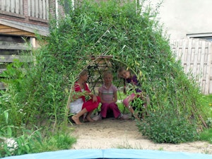Wilgentunnel - bild 5