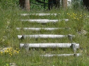 Stammetjesklim - bild 4