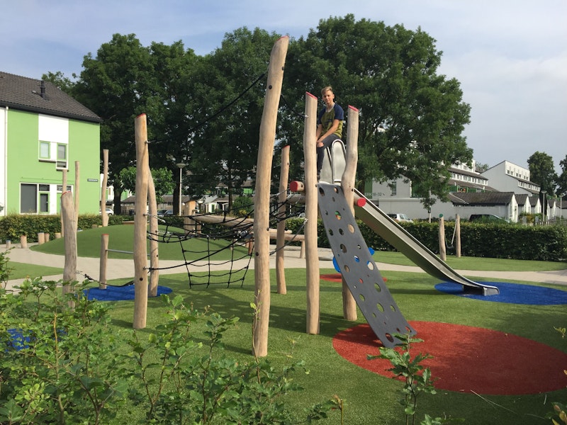 Robinia spinnenwebtoestel, variant 6 - bild 3