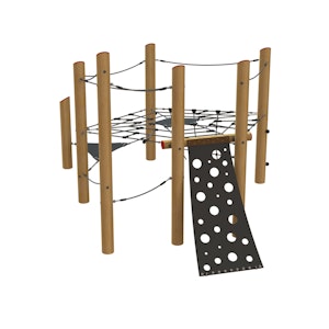 Robinia spinnenwebtoestel, variant 7 - bild 1