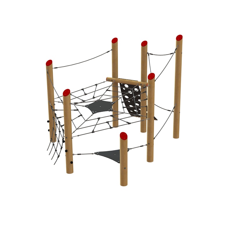 Robinia spinnenwebtoestel, variant 7 - bild 2