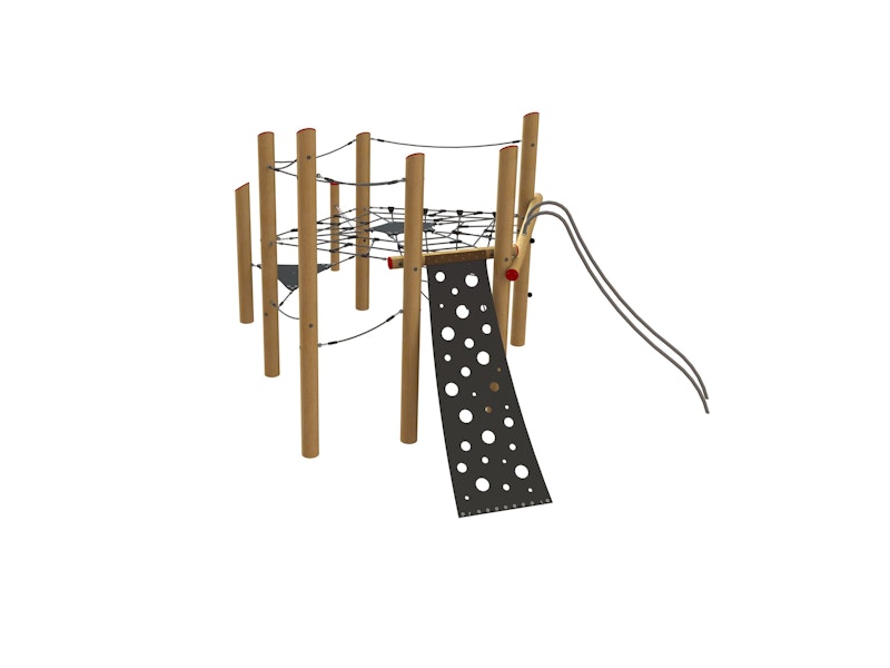 Robinia spinnenwebtoestel, variant 9