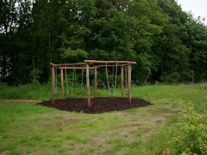 Zeshoekgunga - bild 2