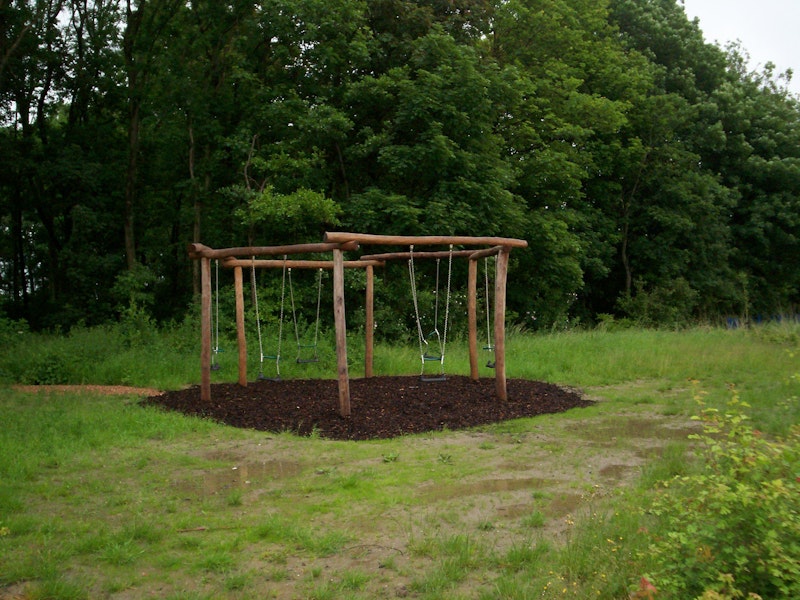 Zeshoekgunga - bild 2