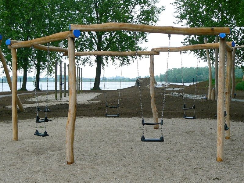 Zeshoekgunga - bild 3