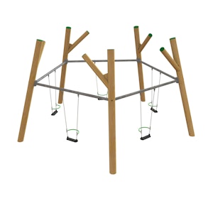 Vijfhoekgunga - bild 1
