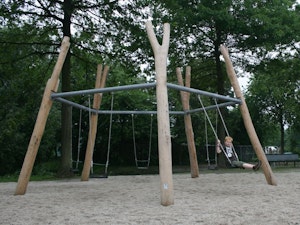 Vijfhoekgunga - bild 3