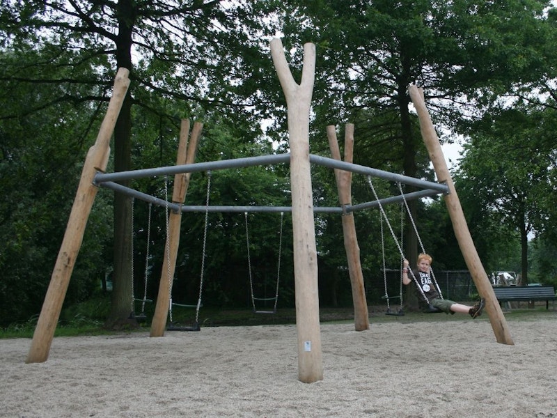 Vijfhoekgunga - bild 3