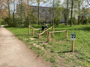 Trimbaan toestel, hordeloop - bild 5