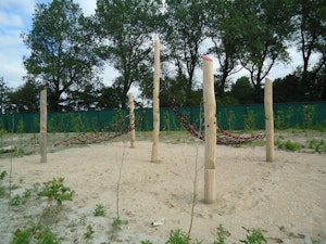 Klimnet structuur - bild 2