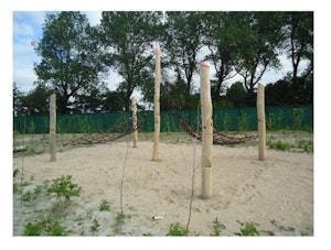 Klimnet structuur - bild 3
