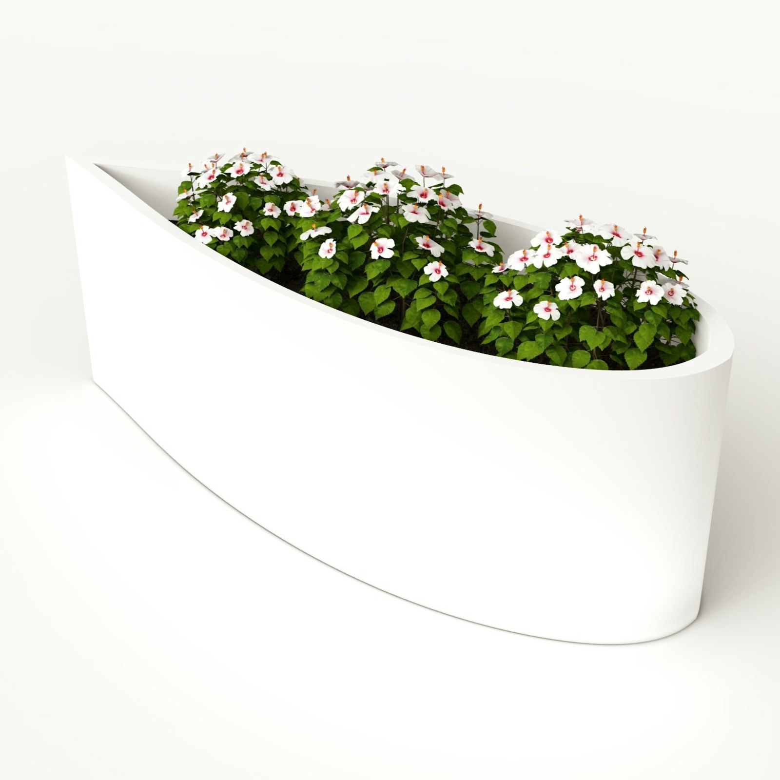 Donica WIND 02