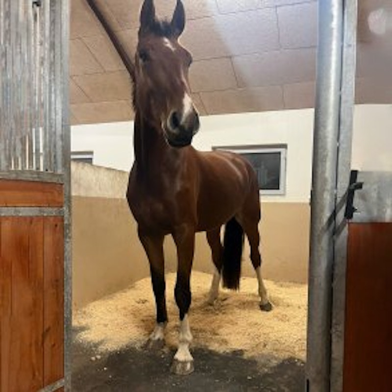 Pusselspilt stallmatta, 90 x 120 cm, 20 mm tjocklek - bild 2