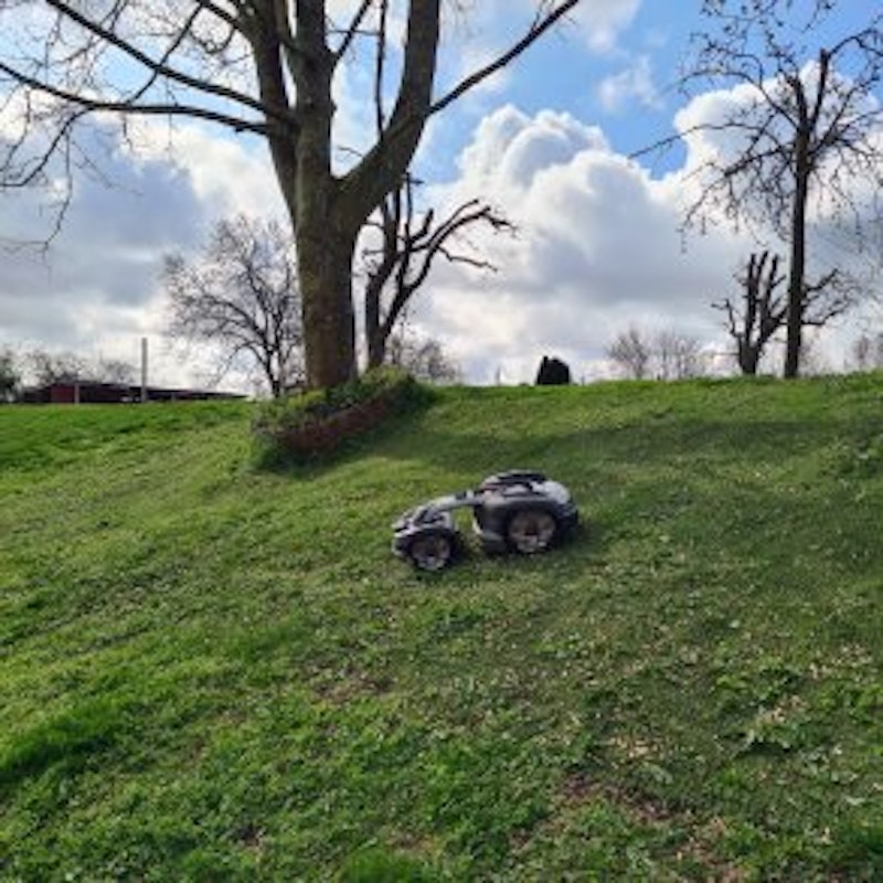 Hybridgräs till din robotgräsklippare - paket om 4 m² - bild 2