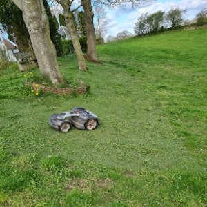 Hybridgräs till din robotgräsklippare - paket om 4 m² - bild 3