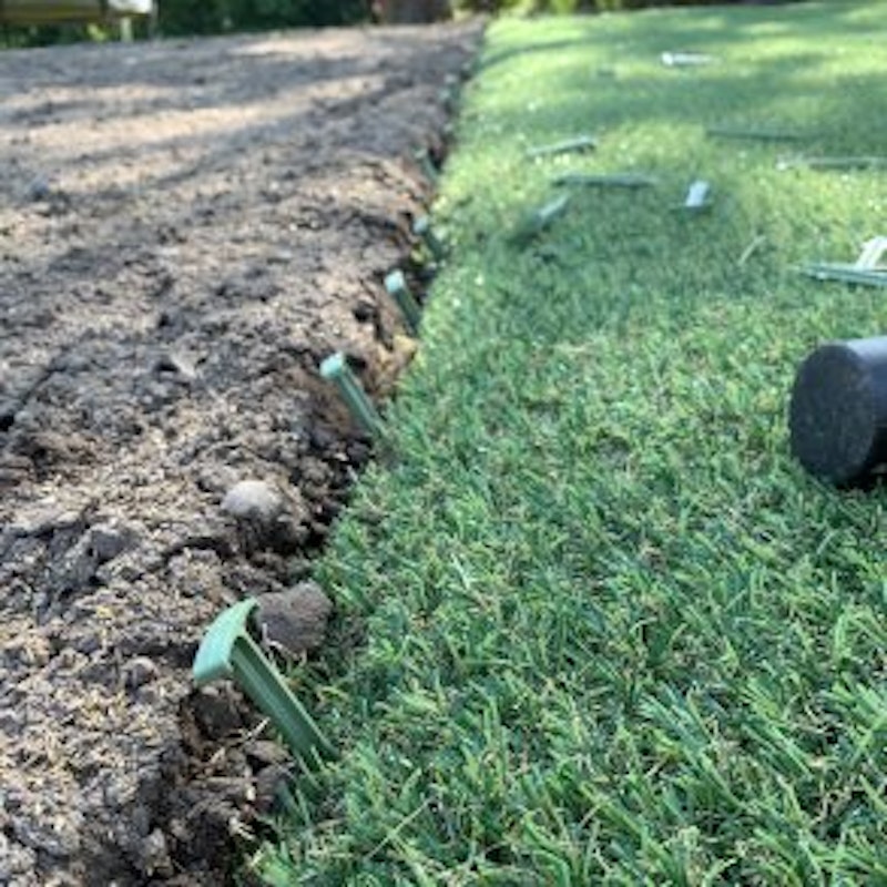 Hybrid 30 ECO, hybridgräs, rulle i anbrud - bild 8