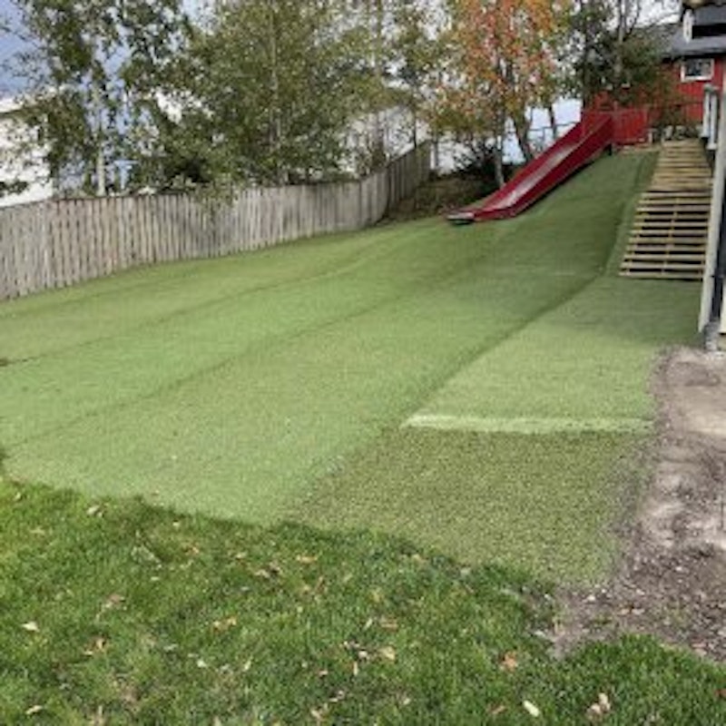 Hybrid 30 ECO, hybridgräs, rulle i anbrud - bild 4