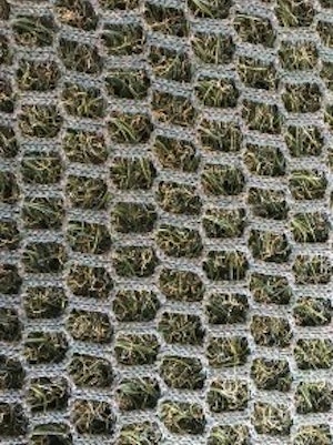 Hybrid 30 ECO, hybridgräs, rulle i anbrud - bild 2