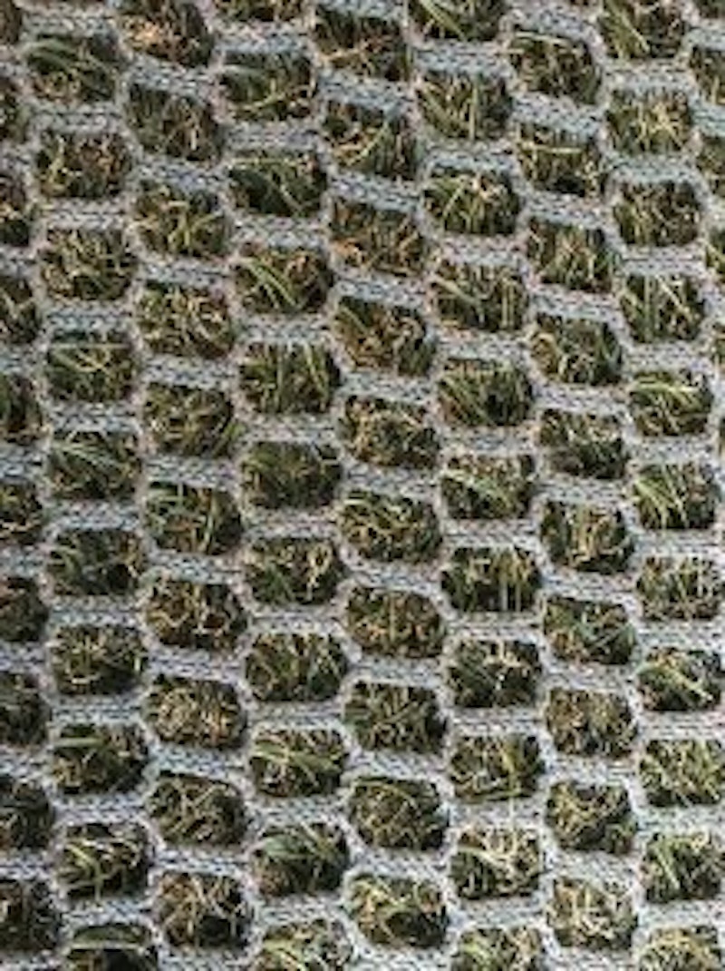 Hybrid 30 ECO, hybridgräs, rulle i anbrud - bild 2