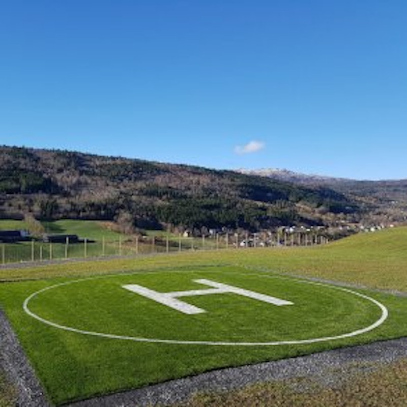 PETER ECO konstgräslinje, VIT - bild 3