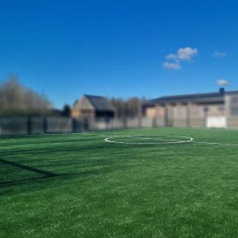 PETER ECO konstgräslinje, VIT - bild 4