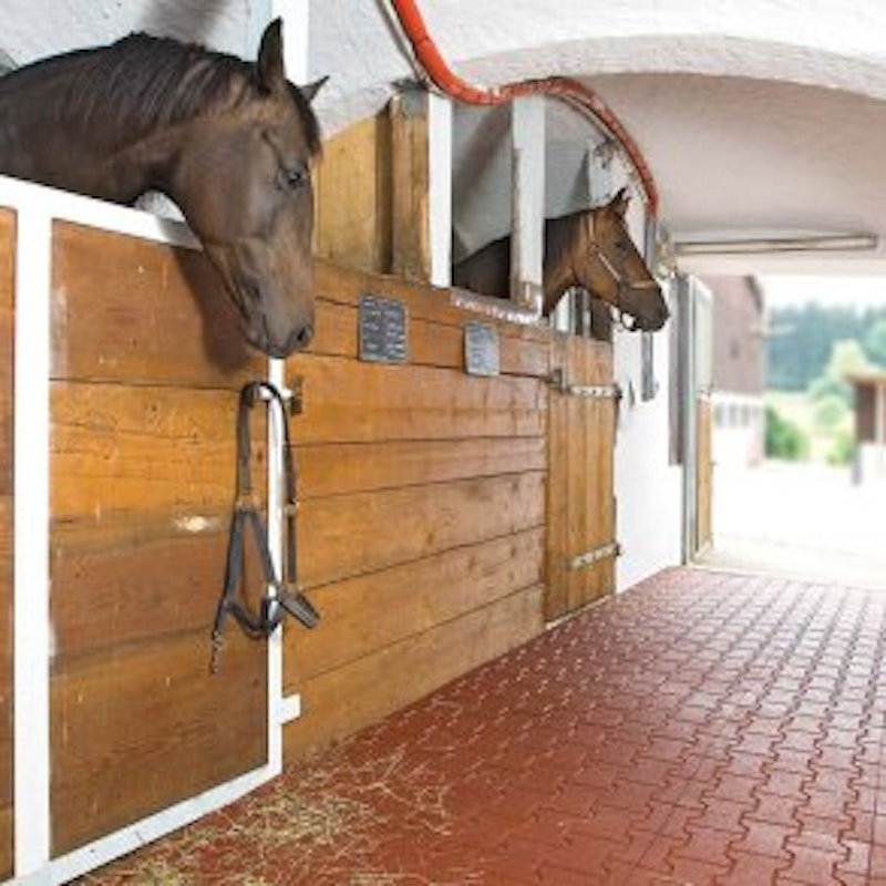 DOG BONE gummiplatta, 200 x 165 x 43 mm - bild 2