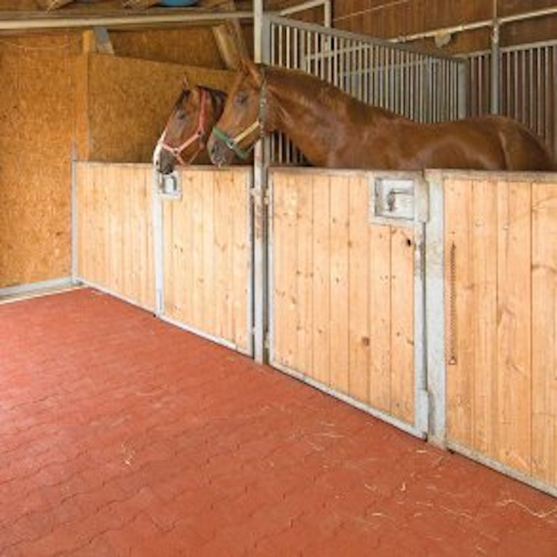 DOG BONE gummiplatta, 200 x 165 x 43 mm - bild 4