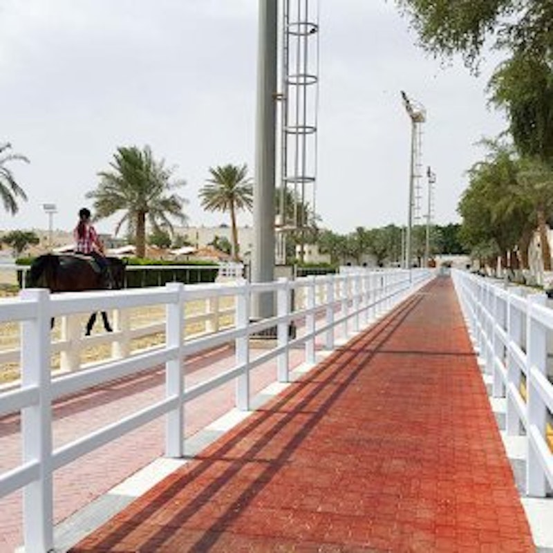 DOG BONE gummiplatta, 200 x 165 x 43 mm - bild 5