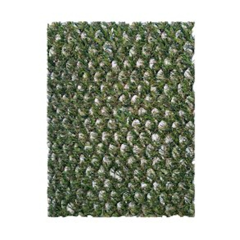 Hybrid 20 ECO, hybridgräs, 50 m² rulle