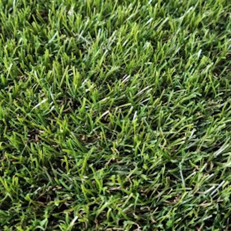 KARLA ECO Safegrass, konstgräs, 50 m² rulle, bredd 2 m - bild 8