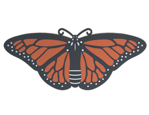Butterfly - bild 1